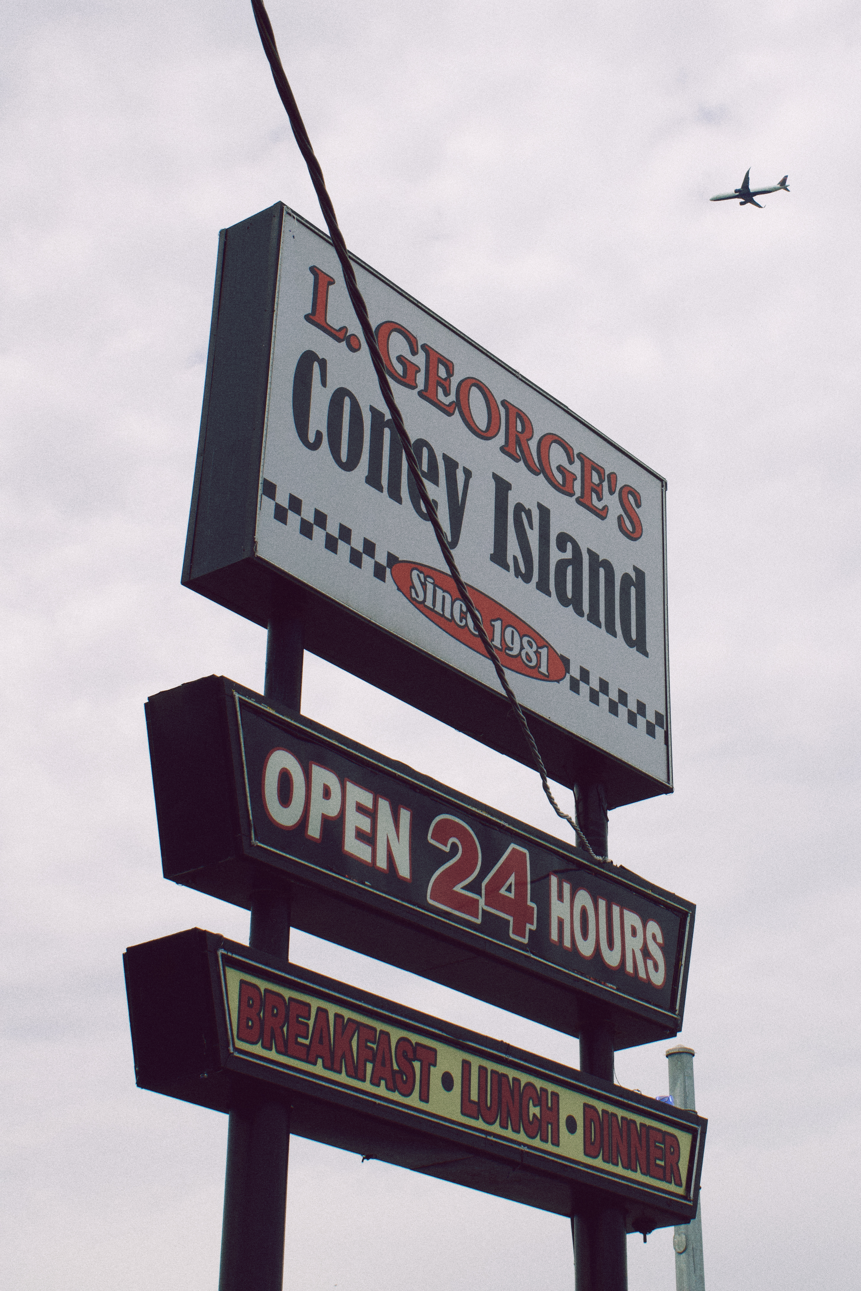 TheConeyIsAnIslandForTheWorkingClass.AmeliaGillis,